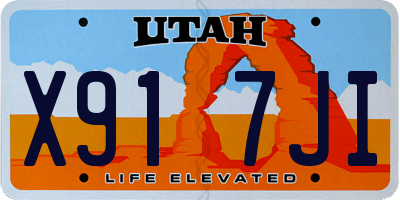 UT license plate X917JI