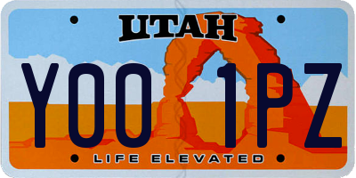 UT license plate Y001PZ