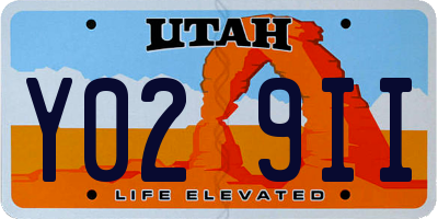 UT license plate Y029II