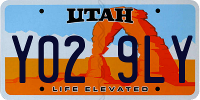 UT license plate Y029LY