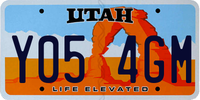 UT license plate Y054GM