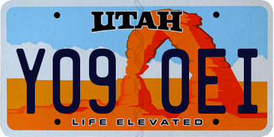 UT license plate Y090EI