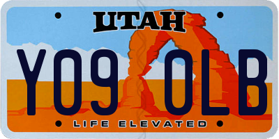 UT license plate Y090LB
