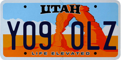 UT license plate Y090LZ