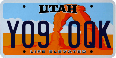 UT license plate Y090QK