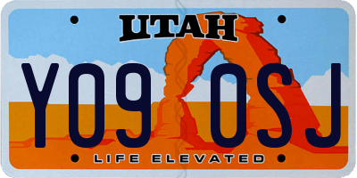 UT license plate Y090SJ