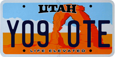 UT license plate Y090TE