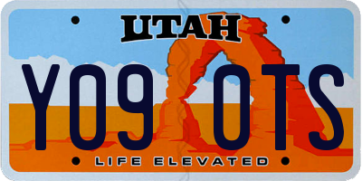 UT license plate Y090TS