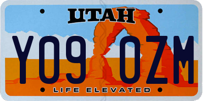 UT license plate Y090ZM