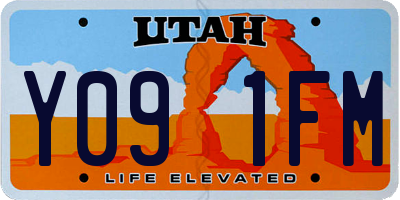 UT license plate Y091FM