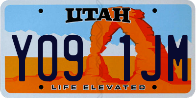 UT license plate Y091JM