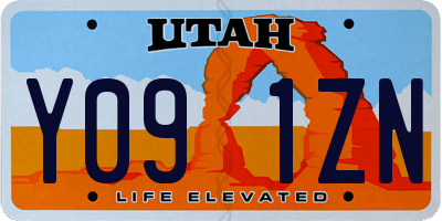 UT license plate Y091ZN