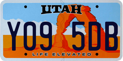 UT license plate Y095DB