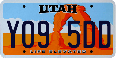 UT license plate Y095DD