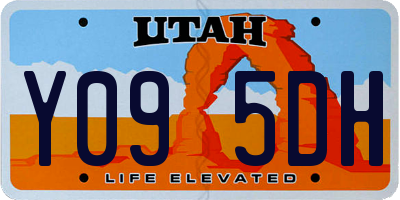 UT license plate Y095DH