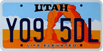 UT license plate Y095DL