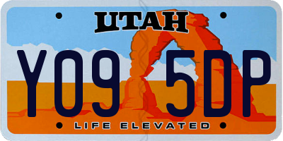 UT license plate Y095DP