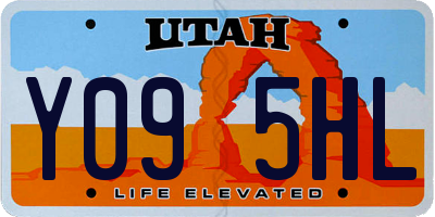 UT license plate Y095HL