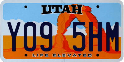 UT license plate Y095HM