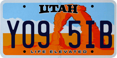 UT license plate Y095IB