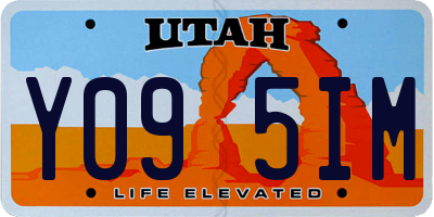 UT license plate Y095IM