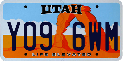 UT license plate Y096WM
