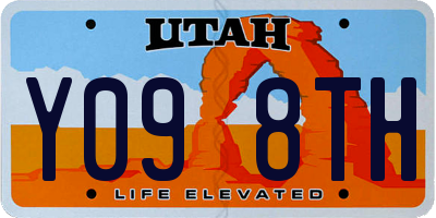 UT license plate Y098TH