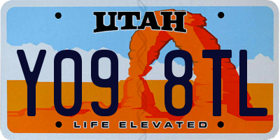 UT license plate Y098TL