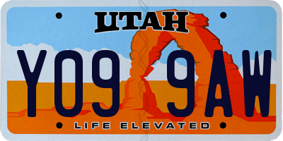 UT license plate Y099AW