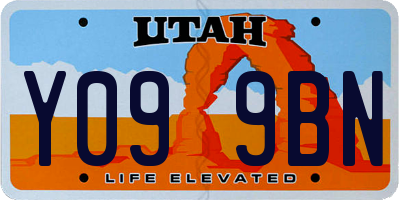 UT license plate Y099BN