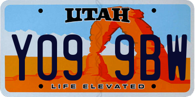 UT license plate Y099BW
