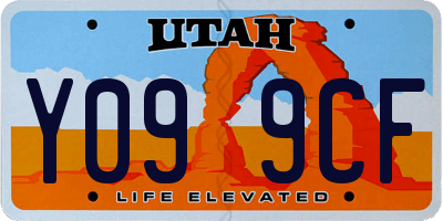 UT license plate Y099CF
