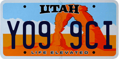 UT license plate Y099CI