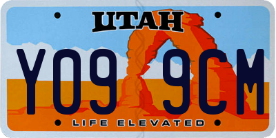 UT license plate Y099CM