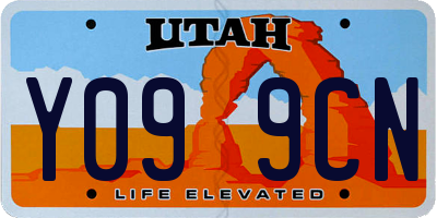 UT license plate Y099CN