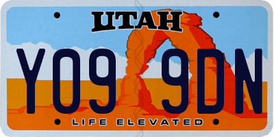 UT license plate Y099DN