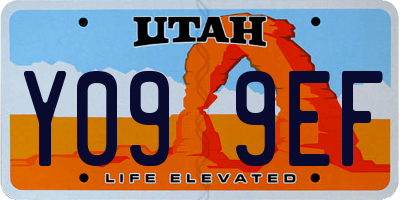 UT license plate Y099EF