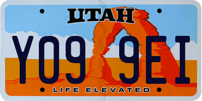 UT license plate Y099EI
