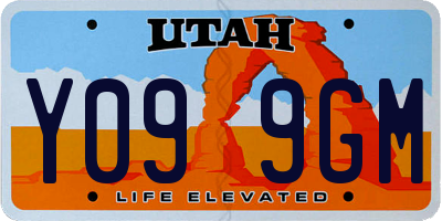 UT license plate Y099GM