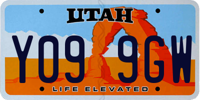 UT license plate Y099GW