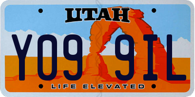 UT license plate Y099IL