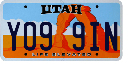 UT license plate Y099IN