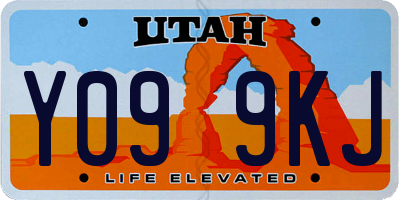 UT license plate Y099KJ