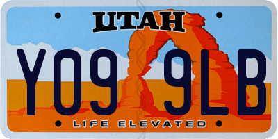 UT license plate Y099LB