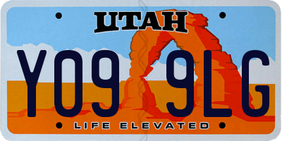 UT license plate Y099LG