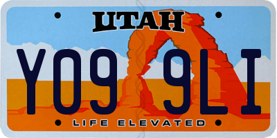 UT license plate Y099LI