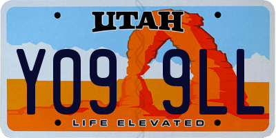 UT license plate Y099LL