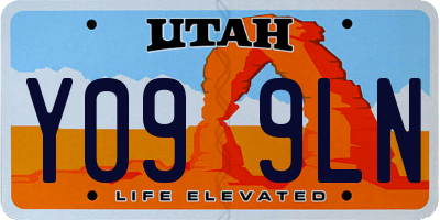 UT license plate Y099LN