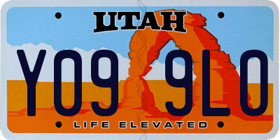 UT license plate Y099LO