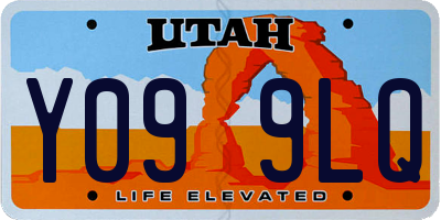UT license plate Y099LQ